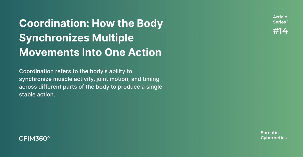 Article 14 cover image